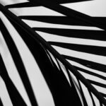 saint-atelier-CEq3z6do4cM-unsplash-scaled.jpg